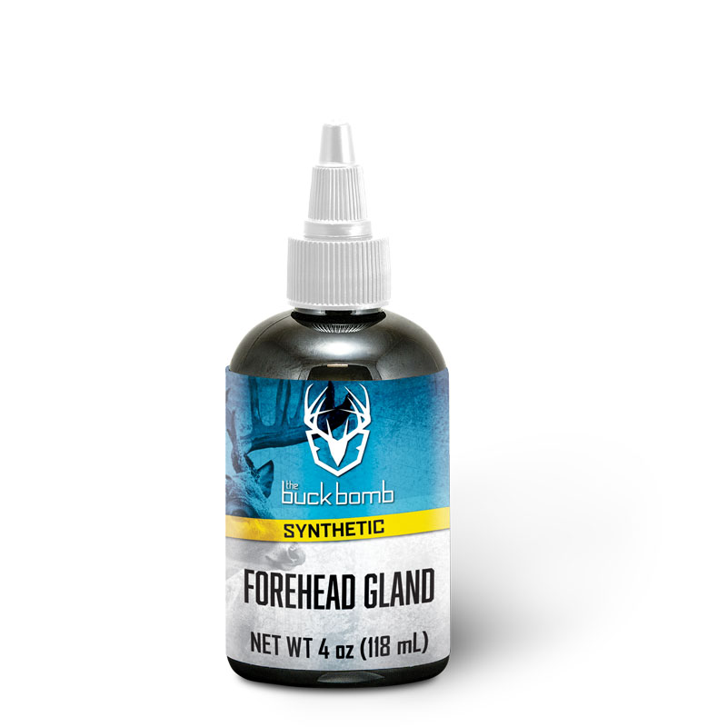 Synthetic Whitetail Deer Forehead Gland for Mock Scrapes